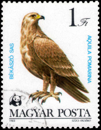 Saint Petersburg, Russia - May 17, 2020: Stamp printed in the Hungary with the image of the Lesser Spotted Eagle, Aquila pomarina, circa 1983のeditorial素材