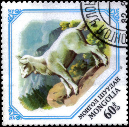 Saint Petersburg, Russia - May 17, 2020: Stamp printed in the Mongolia with the image of the Goat, Capra aegagrus hircus, circa 1982のeditorial素材