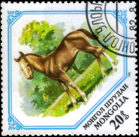 Saint Petersburg, Russia - May 17, 2020: Stamp printed in the Mongolia with the image of the Colt, Equus ferus caballus, circa 1982のeditorial素材