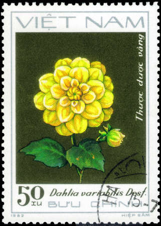 Saint Petersburg, Russia - May 31, 2020: Stamp printed in the Vietnam with the image of the Yellow dahlia, Dahlia variabilis Desf., circa 1982のeditorial素材