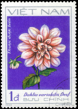 Saint Petersburg, Russia - May 31, 2020: Stamp printed in the Vietnam with the image of the Green dahlia, Dahlia variabilis Desf., circa 1982のeditorial素材