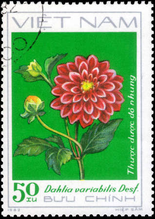 Saint Petersburg, Russia - May 31, 2020: Stamp printed in the Vietnam with the image of the Red decorative dahlia, Dahlia variabilis Desf., circa 1982のeditorial素材