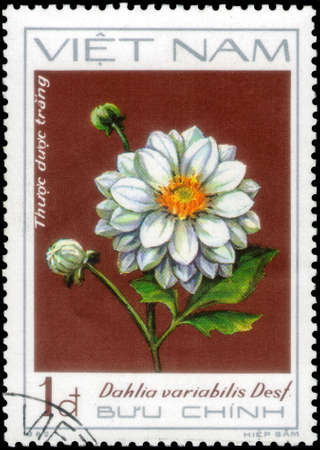 Saint Petersburg, Russia - May 31, 2020: Stamp printed in the Vietnam with the image of the White dahlia, Dahlia variabilis Desf., circa 1982のeditorial素材