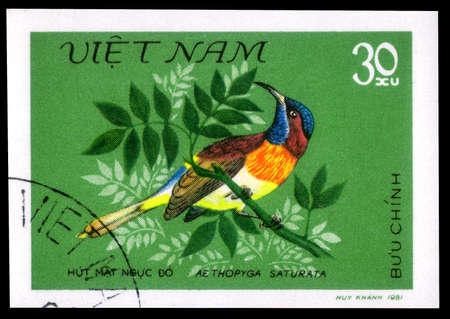 Saint Petersburg, Russia - May 31, 2020: Stamp printed in the Vietnam with the image of the Black-throated Sunbird, Aethopyga saturata, circa 1981のeditorial素材