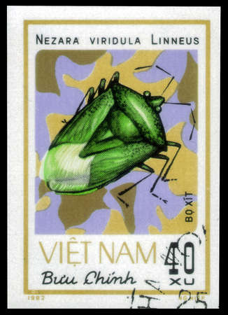 Saint Petersburg, Russia - May 31, 2020: Stamp printed in the Vietnam with the image of the Southern Green Stink Bug, Nezara viridula, circa 1982のeditorial素材