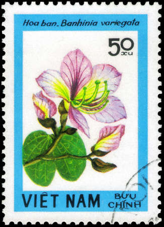 Saint Petersburg, Russia - May 31, 2020: Stamp printed in the Vietnam with the image of the Orchid Tree, Bauhinia variegata, circa 1984のeditorial素材