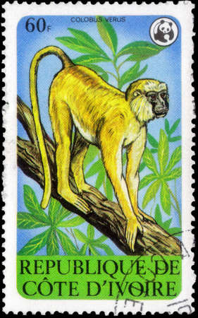 Saint Petersburg, Russia - September 18, 2020: Postage stamp issued in the Ivory coast with the...