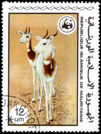 Saint Petersburg, Russia - September 18, 2020: Postage stamp issued in the Mauritania with the image of the Dama Gazelle, Gazella dama. From the series on WWF, circa 1978のeditorial素材