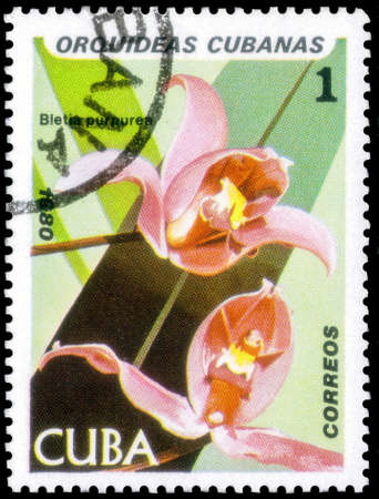 Saint Petersburg, Russia - September 18, 2020: Postage stamp issued in the Cuba with the image of the Bletia purpurea. From the series on Orchids, circa 1980のeditorial素材