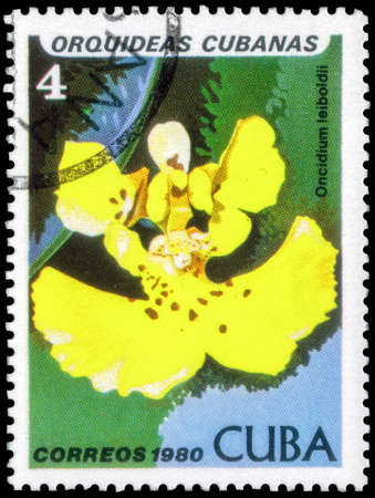 Saint Petersburg, Russia - September 18, 2020: Postage stamp issued in the Cuba with the image of the Oncidium leiboldii. From the series on Orchids, circa 1980のeditorial素材