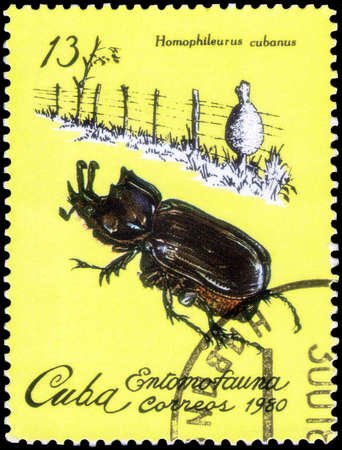 Saint Petersburg, Russia - November 12, 2020: Postage stamp issued in the Cuba with the image of the Beetle, Homophileurus cubanus. From the series on Insects of Cuba, circa 1980のeditorial素材