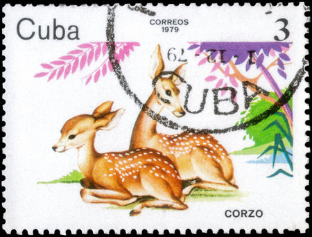 Saint Petersburg, Russia - December 05, 2020: Postage stamp issued in the Cuba with the image of the Roe Deer, Capreolus capreolus. From the series on Zoo Animals, circa 1979のeditorial素材
