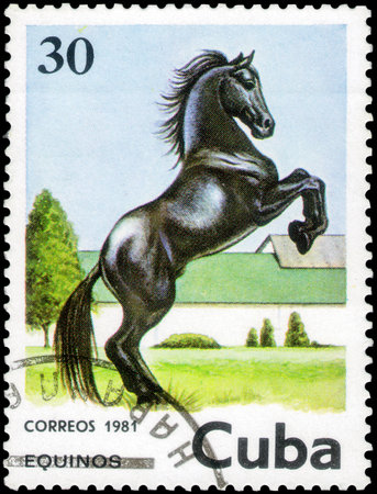 Saint Petersburg, Russia - December 05, 2020: Postage stamp issued in the Cuba with the image of the Horse, Equus ferus caballus. From the series on Horses, circa 1981のeditorial素材