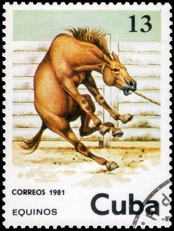 Saint Petersburg, Russia - December 05, 2020: Postage stamp issued in the Cuba with the image of the Horse, Equus ferus caballus. From the series on Horses, circa 1981のeditorial素材