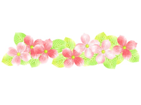 Dogwood illustration backgroundのイラスト素材