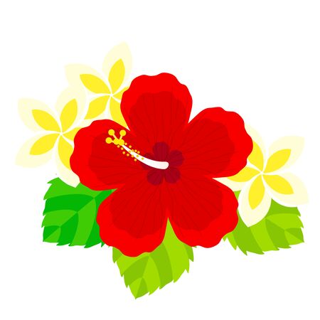 Hibiscus and Plumeria Illustrationsのイラスト素材