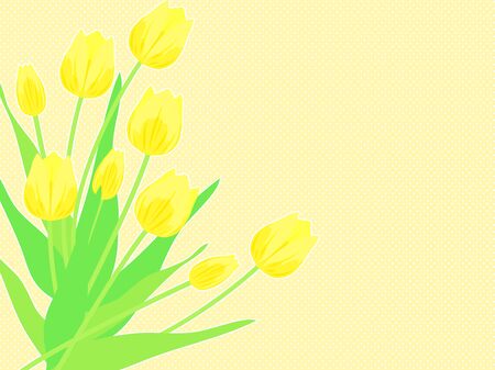 Illustration background of yellow tulipsのイラスト素材