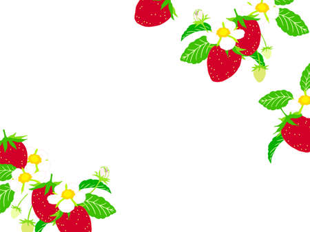 Simple strawberry and strawberry flower illustration, frame, backgroundのイラスト素材