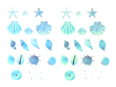 Set Of Shell Illustrations Watercolor Styleのイラスト素材 イメージマート