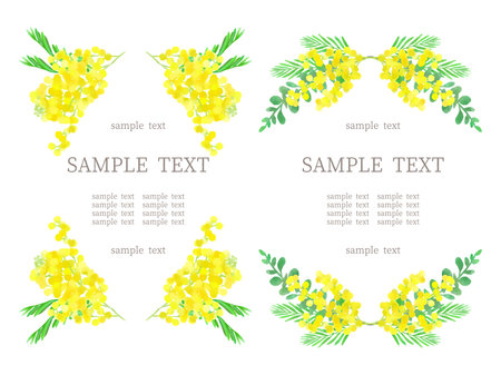 Watercolor, hand drawn, mimosa illustration frameのイラスト素材