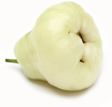 ROSE APPLEの写真素材