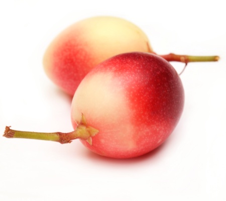 fruit redの写真素材