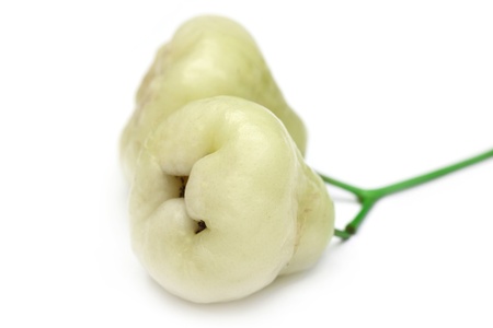 ROSE APPLEの写真素材