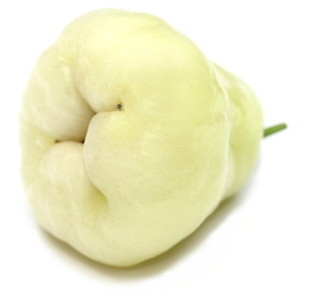 ROSE APPLEの写真素材