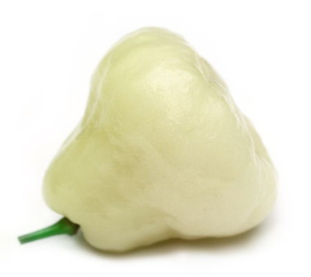 ROSE APPLEの写真素材