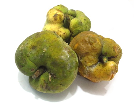 bangladeshi local fruit dewaの写真素材