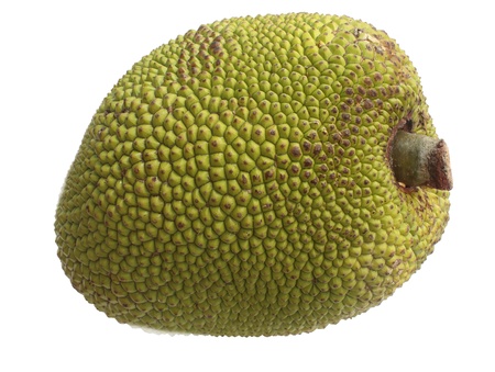 jackfruitの写真素材
