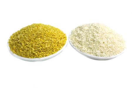 rice   dalの写真素材