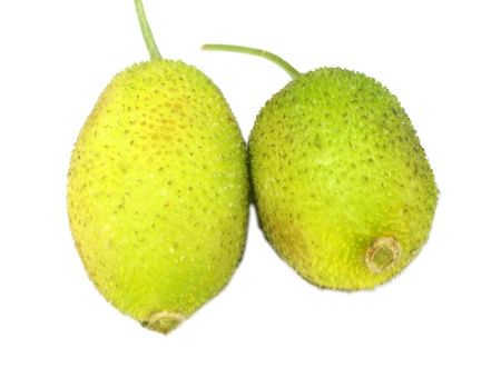 Teasle Gourd  or Kakrolの写真素材
