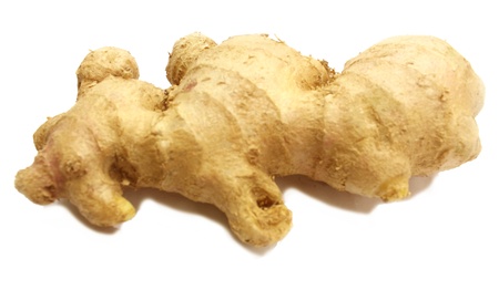 gingerの写真素材