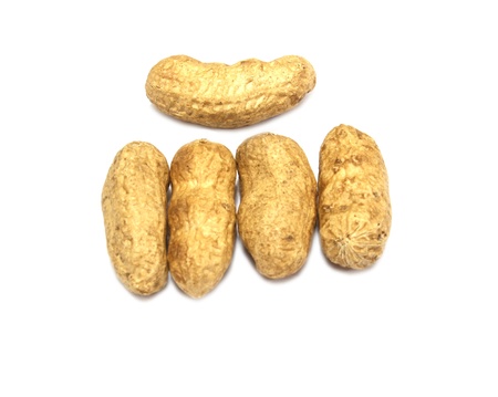 peanutの写真素材