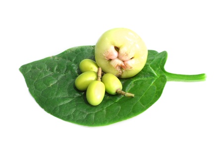 rose apple    neem fruit over leavesの写真素材