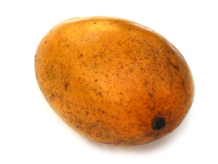 mangoの写真素材