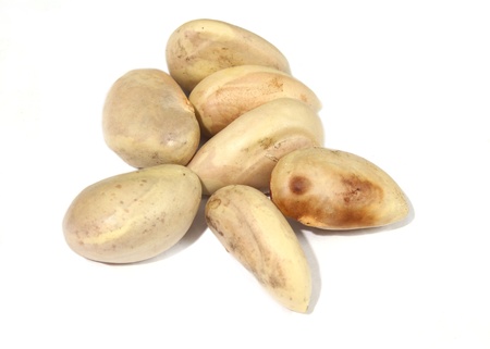 seeds of jackfruitの写真素材