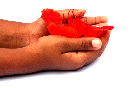 flower with handの写真素材