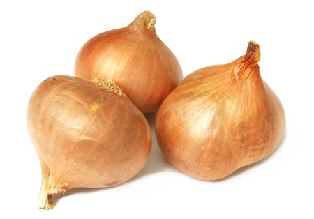 onionの写真素材