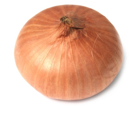 onionの写真素材