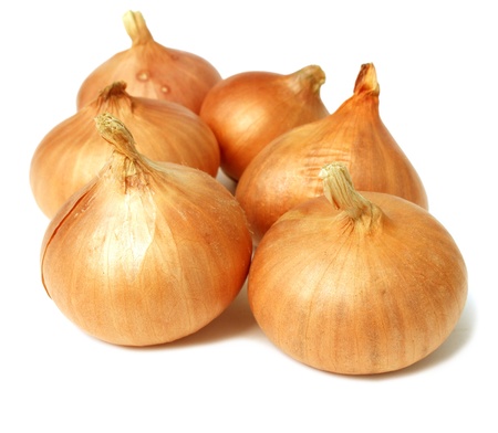 onionの写真素材