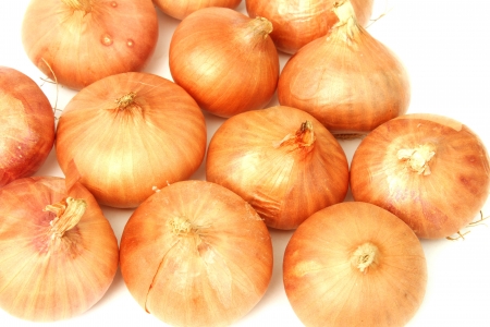 onionの写真素材