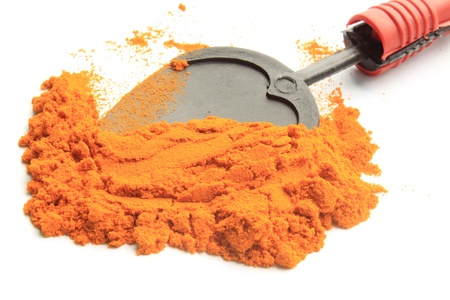turmeric powder with  spponの写真素材