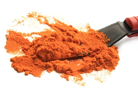 turmeric powder with wood spponの写真素材