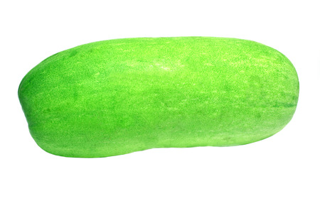 wax gourdの写真素材