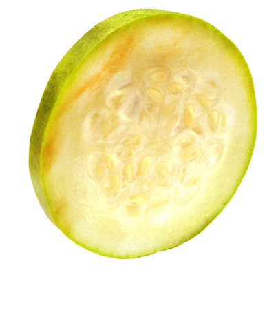 wax gourdの写真素材
