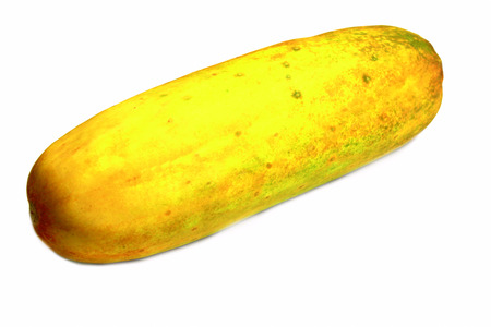 cucumberの写真素材