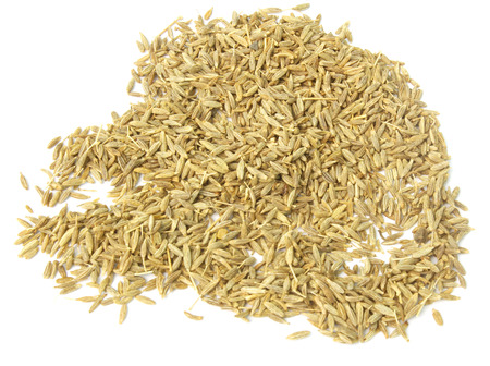 cumin seedsの写真素材