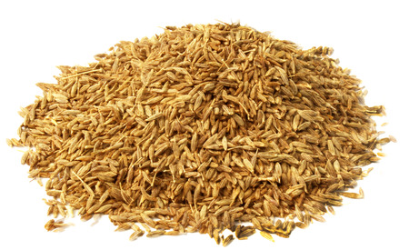 cumin seedsの写真素材